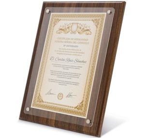 MARCO DE MADERA DIPLOMA A4 "EXCELENCIA"